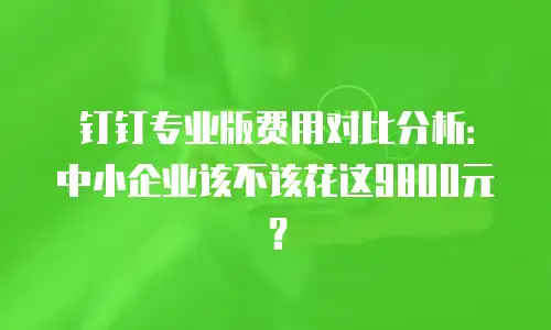 钉钉专业版费用对比分析：中小企业该不该花这9800元？