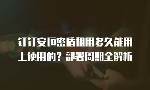 钉钉安恒密盾租用多久能用上使用的？部署周期全解析