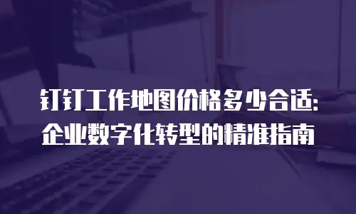 钉钉工作地图价格多少合适：企业数字化转型的精准指南