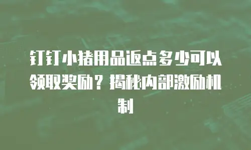 钉钉小猪用品返点多少可以领取奖励？揭秘内部激励机制
