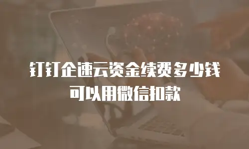 钉钉企速云资金续费多少钱可以用微信扣款