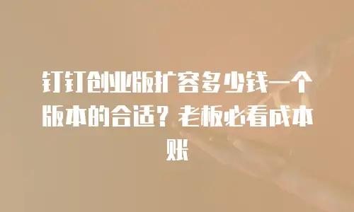 钉钉创业版扩容多少钱一个版本的合适？老板必看成本账