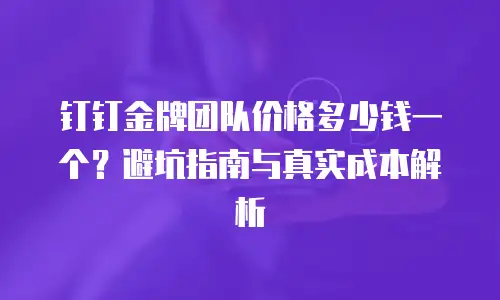 钉钉金牌团队价格多少钱一个？避坑指南与真实成本解析