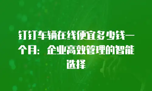 钉钉车辆在线便宜多少钱一个月：企业高效管理的智能选择