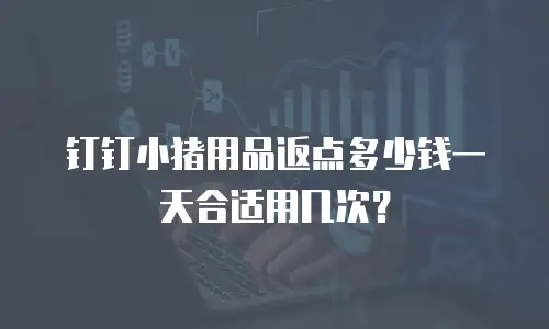钉钉小猪用品返点多少钱一天合适用几次？