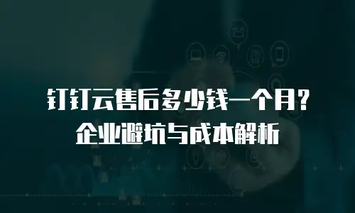 钉钉云售后多少钱一个月？企业避坑与成本解析