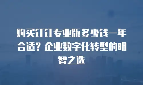 购买钉钉专业版多少钱一年合适？企业数字化转型的明智之选