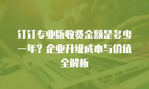 钉钉专业版收费金额是多少一年？企业升级成本与价值全解析