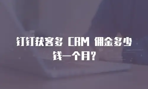 钉钉获客多 CRM 佣金多少钱一个月？