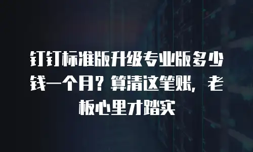 钉钉标准版升级专业版多少钱一个月？算清这笔账，老板心里才踏实