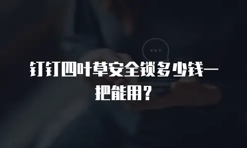 钉钉四叶草安全锁多少钱一把能用？