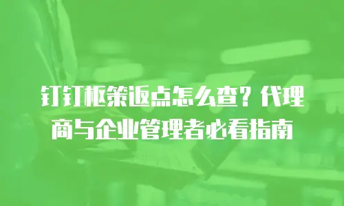 钉钉枢策返点怎么查？代理商与企业管理者必看指南