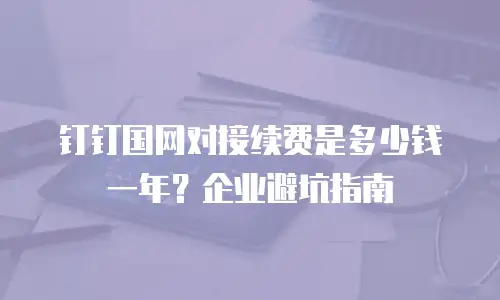 钉钉国网对接续费是多少钱一年？企业避坑指南