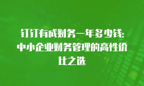 钉钉有成财务一年多少钱：中小企业财务管理的高性价比之选