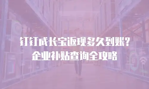 钉钉成长宝返现多久到账？企业补贴查询全攻略