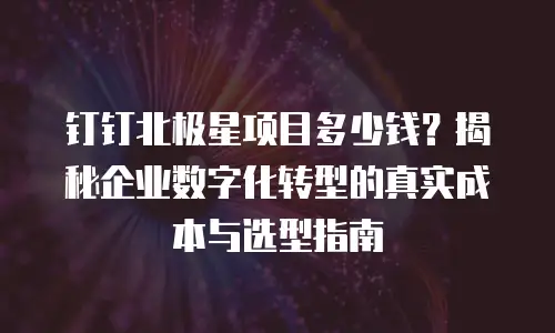 钉钉北极星项目多少钱？揭秘企业数字化转型的真实成本与选型指南