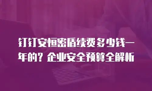 钉钉安恒密盾续费多少钱一年的？企业安全预算全解析