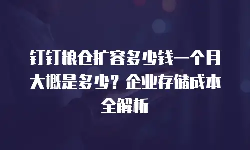 钉钉粮仓扩容多少钱一个月大概是多少？企业存储成本全解析