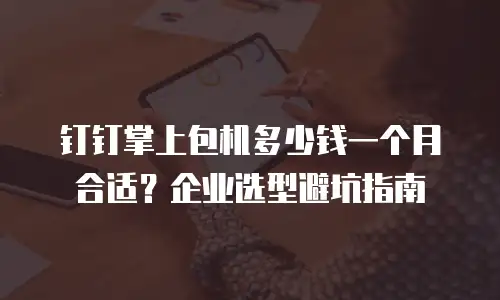 钉钉掌上包机多少钱一个月合适？企业选型避坑指南