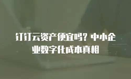 钉钉云资产便宜吗？中小企业数字化成本真相
