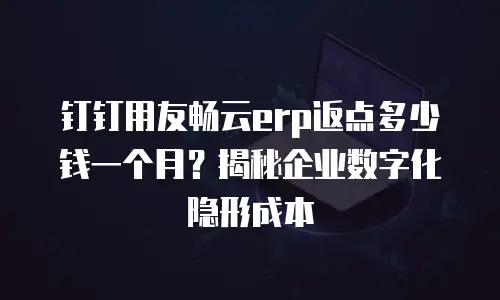 钉钉用友畅云erp返点多少钱一个月？揭秘企业数字化隐形成本
