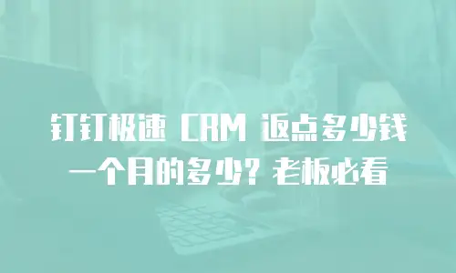 钉钉极速 CRM 返点多少钱一个月的多少？老板必看