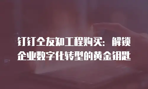 钉钉仝友知工程购买：解锁企业数字化转型的黄金钥匙