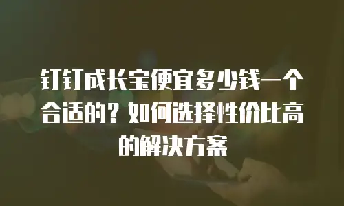 钉钉成长宝便宜多少钱一个合适的？如何选择性价比高的解决方案
