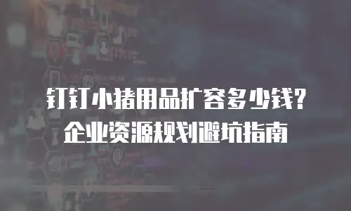 钉钉小猪用品扩容多少钱？企业资源规划避坑指南