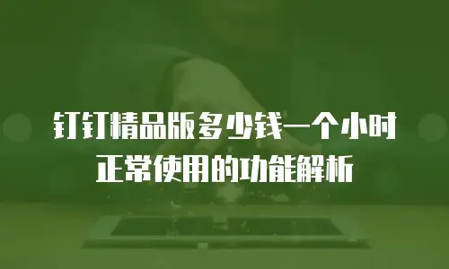 钉钉精品版多少钱一个小时正常使用的功能解析