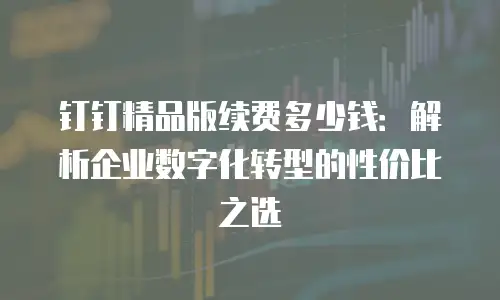 钉钉精品版续费多少钱：解析企业数字化转型的性价比之选