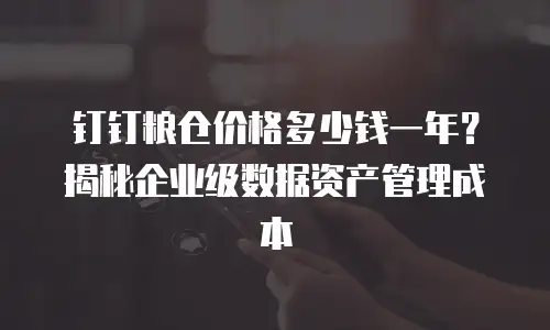 钉钉粮仓价格多少钱一年？揭秘企业级数据资产管理成本