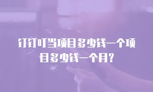 钉钉叮当项目多少钱一个项目多少钱一个月？