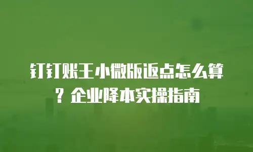 钉钉账王小微版返点怎么算？企业降本实操指南