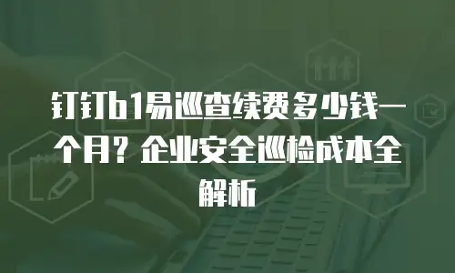 钉钉b1易巡查续费多少钱一个月？企业安全巡检成本全解析