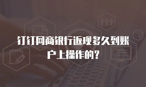 钉钉网商银行返现多久到账户上操作的？
