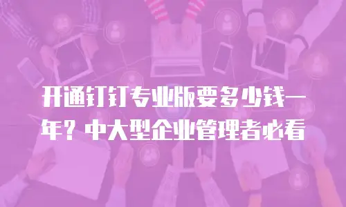 开通钉钉专业版要多少钱一年？中大型企业管理者必看
