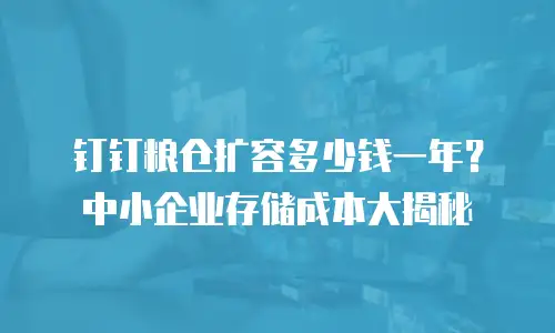 钉钉粮仓扩容多少钱一年？中小企业存储成本大揭秘
