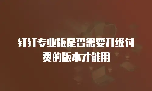 钉钉专业版是否需要升级付费的版本才能用