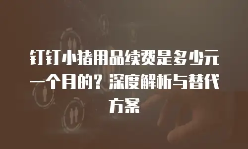 钉钉小猪用品续费是多少元一个月的？深度解析与替代方案