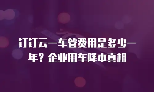 钉钉云一车管费用是多少一年？企业用车降本真相
