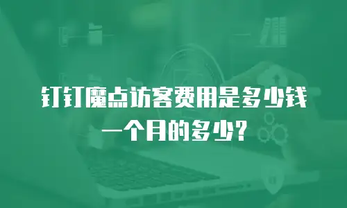 钉钉魔点访客费用是多少钱一个月的多少？