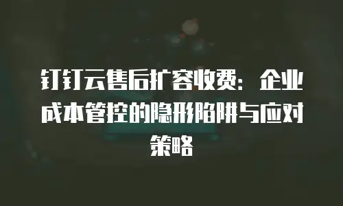 钉钉云售后扩容收费：企业成本管控的隐形陷阱与应对策略