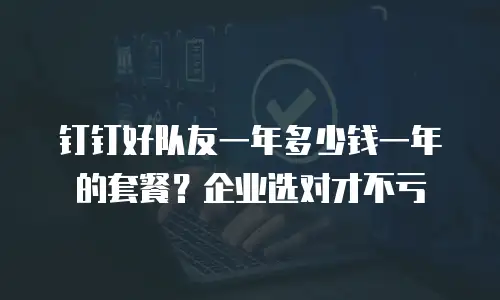 钉钉好队友一年多少钱一年的套餐？企业选对才不亏