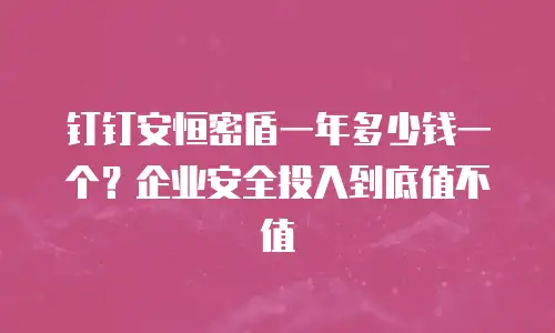 钉钉安恒密盾一年多少钱一个？企业安全投入到底值不值