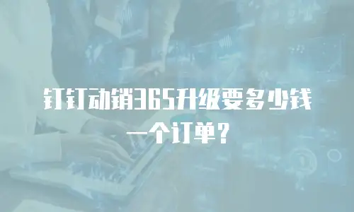 钉钉动销365升级要多少钱一个订单？