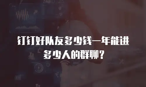 钉钉好队友多少钱一年能进多少人的群聊？