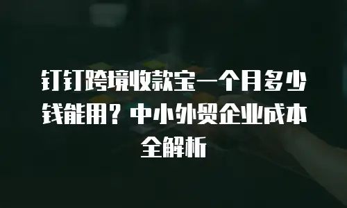 钉钉跨境收款宝一个月多少钱能用？中小外贸企业成本全解析