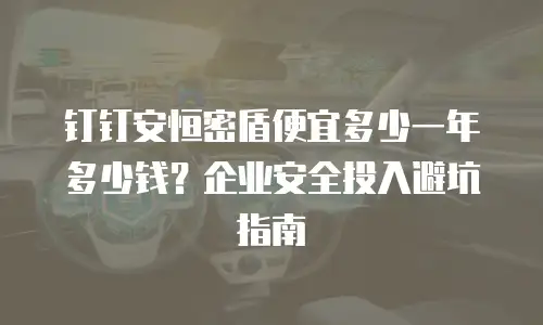 钉钉安恒密盾便宜多少一年多少钱？企业安全投入避坑指南