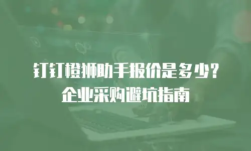 钉钉橙狮助手报价是多少？企业采购避坑指南